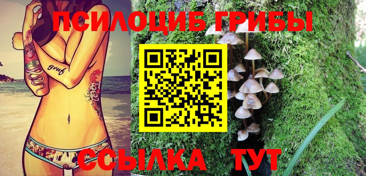 Галлюциногенные грибы Cubensis Евпатория