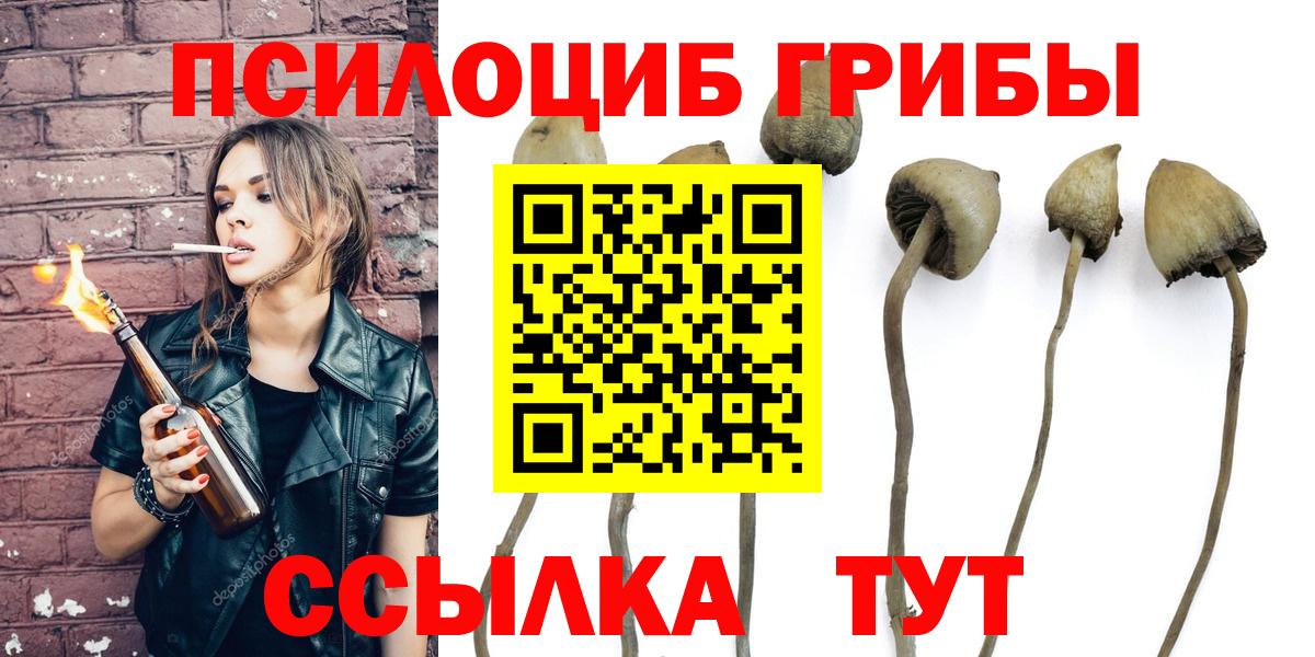 Евпатория  наркота  Вход с VPN  Псилоцибиновые грибы Cubensis 